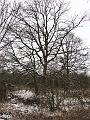 Wandeling De Paalse Plas 24-2-2013 (21)